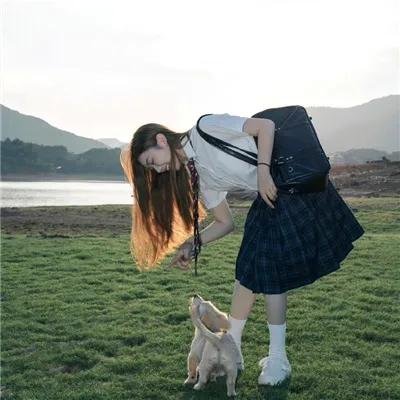 不可思议猫森林